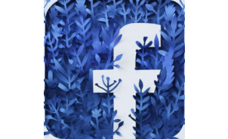 Facebook2020年账号 | 乌克兰 | 女性 | 高质量 | 通过@Onet.pl邮箱验证 | 包含Cookie JSON-账号岛邮箱平台
