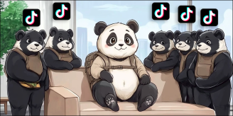 TikTok账号 | 独联体国家IP注册 | 只能使用独联体ip登录 （9个国家）-账号岛邮箱平台