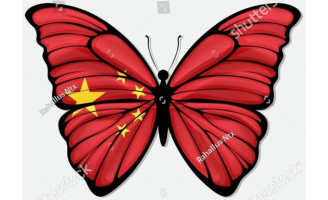 Telegram飞机号/电报 | 86中国手机号注册 | 优质IP注册 | Tdata & session  json-账号岛邮箱平台